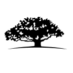 WisdomTree US SmallCap Quality Dividend Growth Fund ETF