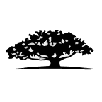 WisdomTree Negative Duration High Yield Bond Fund ETF