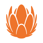 Liberty Global PLC Class B