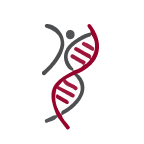 NewLink Genetics Corporation