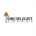 Torchlight Energ