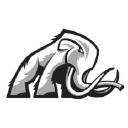 Mammoth Energy Services Inc.